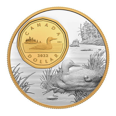 A picture of a 5 oz Fine Silver Coin The Bigger Picture: The Loon